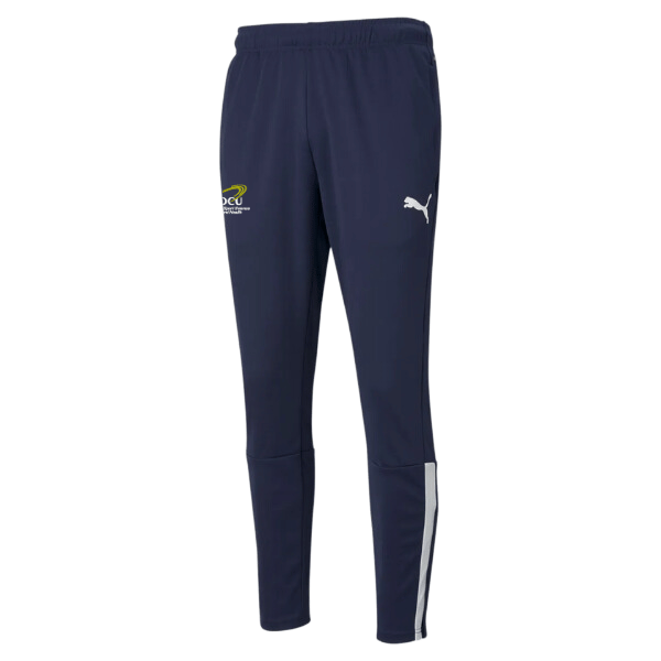 DUC - Sport Science and Health-teamLIGA Training Pants